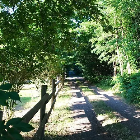 Le Bois Aux Moines * Lavare