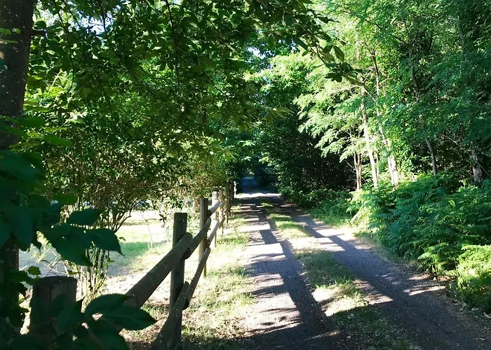 Le Bois Aux Moines * Lavare